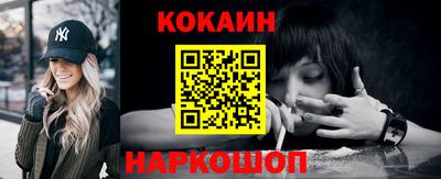 шишки Новодвинск