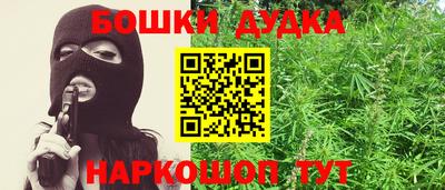 шишки Новодвинск