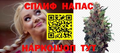 шишки Новодвинск