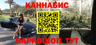 шишки Новодвинск
