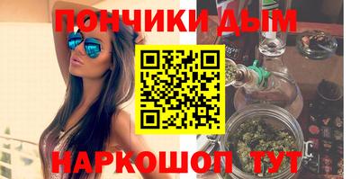 шишки Новодвинск