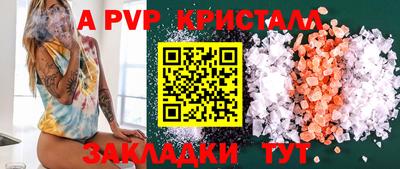 шишки Новодвинск