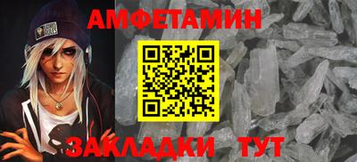шишки Новодвинск