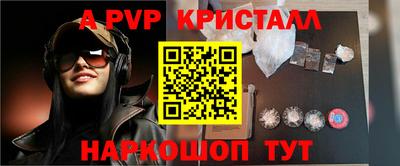 шишки Новодвинск