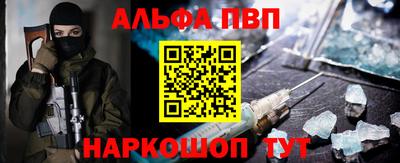 шишки Новодвинск