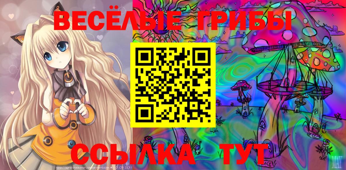 Солнечногорск  Галлюциногенные грибы GOLDEN TEACHER  Вход с VPN 